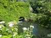 cannara (1)