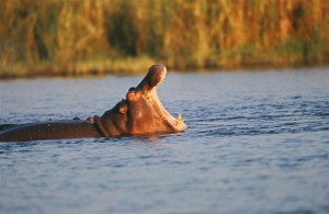 Scirocco Tours, itinerari tra Zambia e Malawi