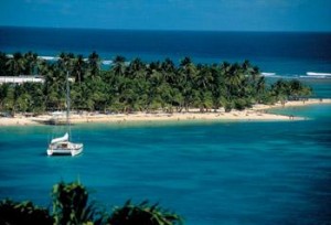 Il Tempo Ritrovato rinnova il marchio e lancia il gabbiano viaggiatore