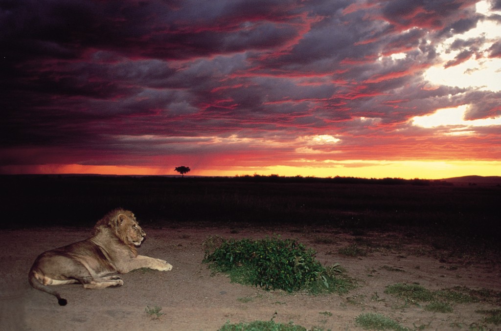 Il Kenya ripristina il visto manuale d’ingresso