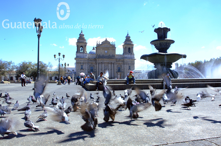 Il Guatemala segmenta l’offerta turistica, dal bird watching ai corsi di spagnolo