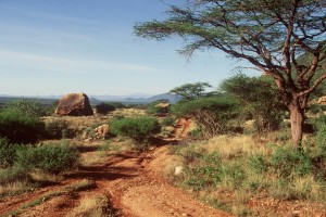 Kenya, nuova campagna immagine a Expo 2015