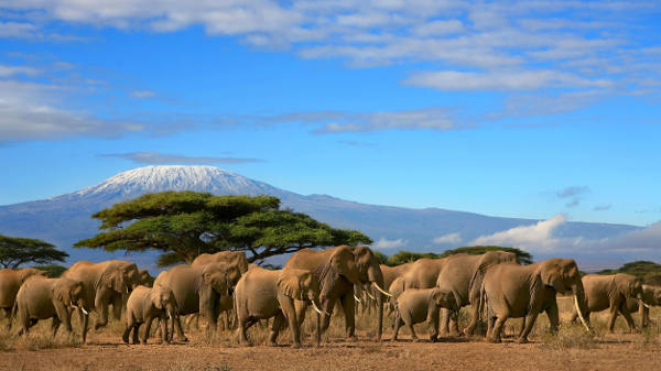 African Explorer: tariffe speciali sul Safari Samburu per il 19 agosto