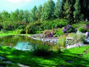 Il Ticino d’estate: escursionismo & natura