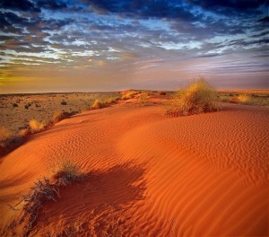 Il deserto australiano in fuoristrada con Heading Bush