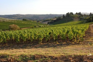 Evolution Travel, proposte per tour in Italia tra il Chianti, l’Emilia e l’Umbria