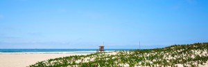 Visit Calfornia invita a scoprire le baie