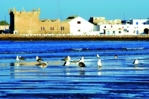 Il Marocco di King Holidays torna con il nuovo catalogo