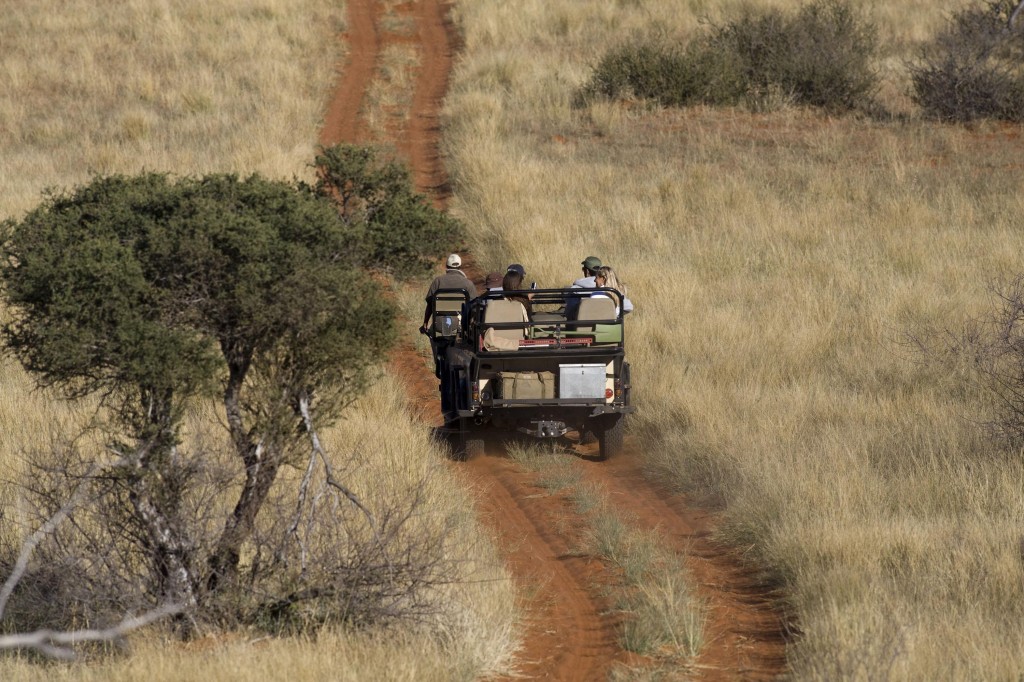 Sudafrica, parte l’8 novembre da Bari il “Big 5 roadshow”