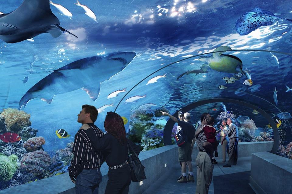Toronto inaugura il Ripley’s Aquarium of Canada