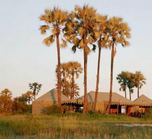 Botswana, focus sul Makgadikgadi
