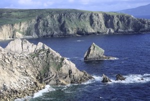 Irlanda: il 2014 parte alla grande