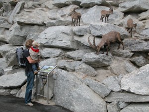 Tirolo austriaco, arrivano le Summer Card