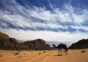 Goasia, “Tutti in…” Giordania