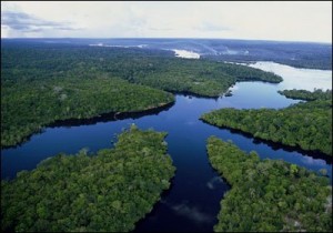 Just Brasil, nuovo catalogo Amazzonia alla Bmt di Napoli