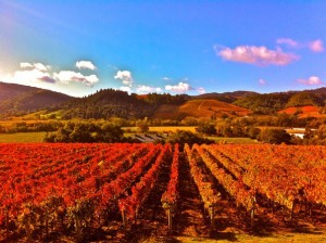California: tre “W” non solo nel web
