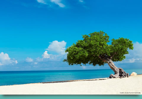 Naar: sui Caraibi la protagonista per il 2015 è Aruba