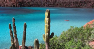 Earth Cultura e Natura, partenza il 9 agosto per la Baja California