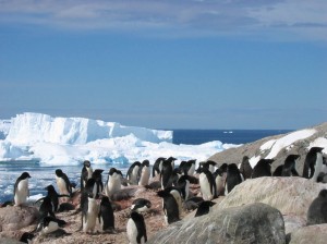 Il Tucano proroga lo sconto di 700 euro per la crociera in Antartide