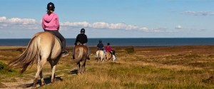 Equitazione sulle spiagge tedesche, da Sylt a Rügen