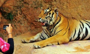 Thailandia, obiettivo su Kanchanaburi