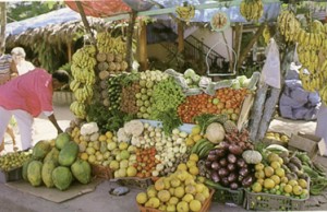 Kermesse gastronomica a Santo Domingo dal 26 al 28 settembre