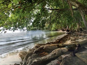 “Travel for me” by Vuela: parti da solo ma paghi una quota di gruppo