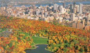 Il Diamante, esce il catalogo “Canada e Alaska”