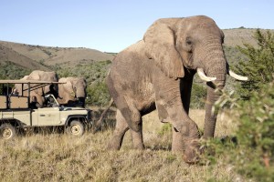 Sudafrica, parte la campagna offerte con 12 tour operator