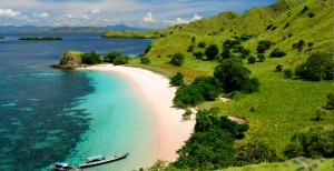 L’Indonesia parteciperà all’Expo 2015