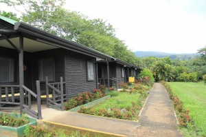 Buena Vista Lodge, Costa Rica: natura protagonista