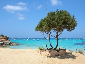 Formentera allunga la stagione con le vacanze attive