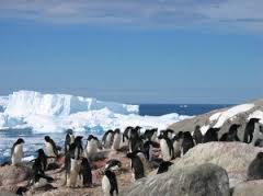 Il Tucano Viaggi Ricerca, 300 pagine di itinerari dall’India all’Antartide