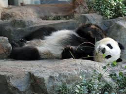 South Australia per famiglie, vacanze tra parchi e zoo