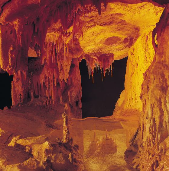 South Australia: Naracoorte Caves celebra i 20 anni nella lista dei siti Patrimonio Unesco