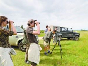 Austria, il Burgenland ospita la Pannonian Bird Experience