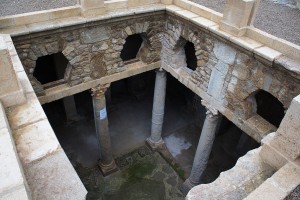 Itinerario invernale in Tunisia tra siti archeologici e aree protette