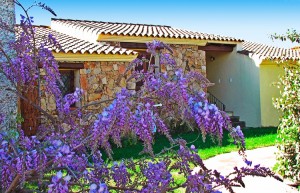 Resort_Li_Suari_San_Teodoro_Eden_Village_z_