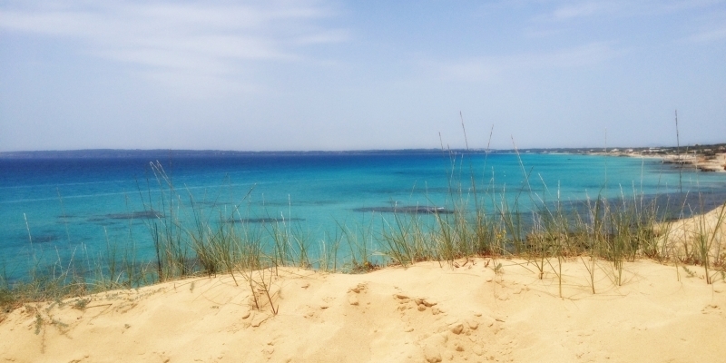 Formentera alla Bmt con un ricco calendario di eventi e novità