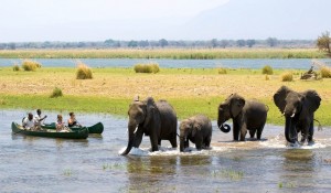 Mappamondo, richieste in aumento per l’Africa australe