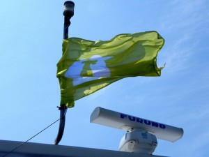 Pecora verde, l’evento #Maresottosopra conquista il web