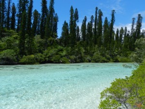 Chiariva in Nuova Caledonia, partenze giornaliere e speciale sposi