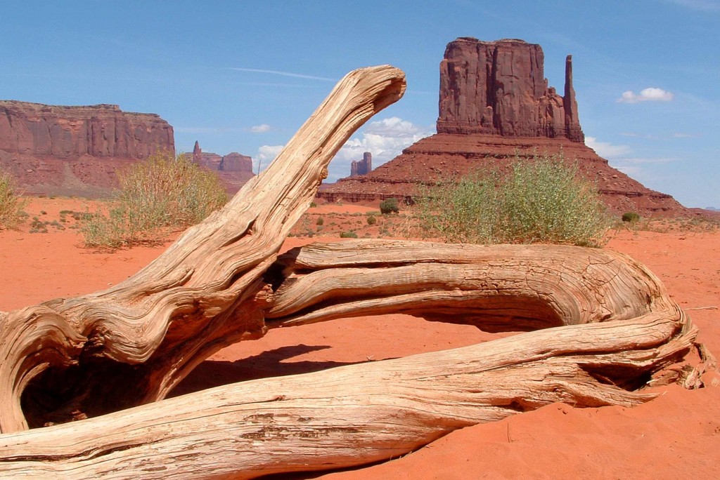 Chiariva agevolazioni fino al 30 maggio per l’advanced booking sugli Usa