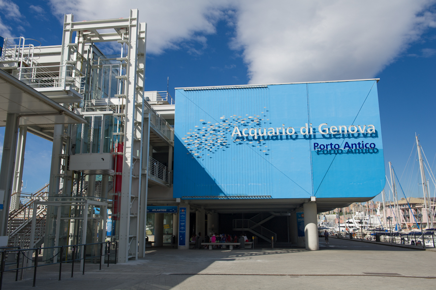 Acquario di Genova, nuovo partner del programma MilleMiglia di Alitalia