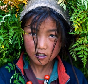 Earth, trekking in Nepal