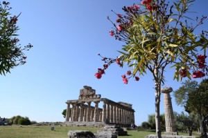Paestum si prepara alla 18ª Borsa del turismo archeologico