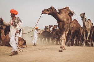 Mistral Tour, novembre in India per la Fiera di Pushkar
