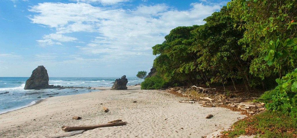 Markando arriva in Sud America