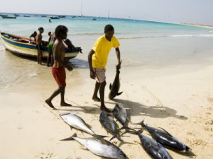Cabo Verde Time, crescita a doppia cifra su partenze e fatturato