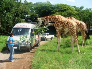 Vulcani e safari per famiglie in Guatemala